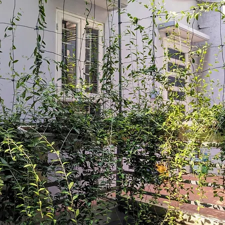 Goc Nho Ha Noi Homestay Hanoi Exterior photo
